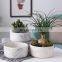 Office desktop green plant flowers micro landscape Nordic indoor potted ornaments indoor bonsai