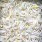 Frozen yellow onion red type also  on sale