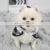 Customized Korea Fashion Luxury Apparel Designer 2021 Summer Dogs Clothes Wholesale