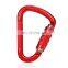 JRSGS 25KN Heavy Duty D Type Customization Color Climbing Gear Custom Fall Protection Camping Metal Snap Hook Locking Aluminum C