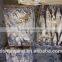 Frozen W/R Illex Squid size 200 - 300 g