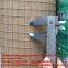 Welded wire mesh/galvanized wire mesh?/wire netting/weld mesh roll/