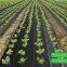 Landscape Weed Barrier Fabric Schwerlastige Landschaftsbodenbezugsmatte zur Unkrautverhinderung