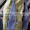 whole round Coryphaena hippurus IQF frozen mahi mahi fish