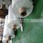 g10/fr4/fr5/g11 epoxy fiber glass cloth laminated sheet