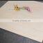 Pink Color Rainbow Stone Polished Indoor Floor Tile