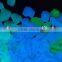 glow in the dark landscape gravel price