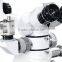 ent microscope price LZJ-6E (CE,ISO, Factory)