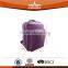 Best Purple Laptop Backpack for College Students