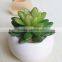 Potted Artificial Mini Succulent Plant for Home Decorations / Garden Decorations