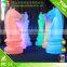 PE Material Rechargeable Led Decoration wedding & garden light/Remote Control/Colourful