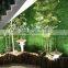 factory direct sale artificial bamboo with high quality