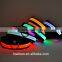 Brazil Distributor Pet Dog Lead Product Flashing LED Dog Collars