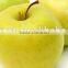 We are supply fresh Golden delicious with best prices for sale