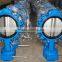 demo butterfly valve with cast iron body
