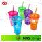 16oz bpa free plastic custom double wall tumbler with straw