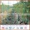European Style Beautiful High Quality powder Coated Euro Fence