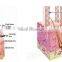 Vertical Co2 Fractional Laser for Skin Rejuvenation