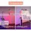 Acne Treatment Pdt Phototherapy Wrinkle Removal Equipment Led Light Making Machine Skin care