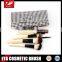 Travel Hot Cosmetic brush set-10pcs with OEM/ODM orders