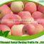2015 new crop red royal gala apple HOT SALES