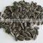 Natural Brand Sunflower Seeds On Sale