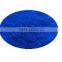 GMP Factory supply Top Quality Spirulina 25% Phycocyanin Extract