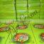 Tanzania market wax match boxes with 32mm Sticks supply from India