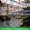 Commercial Used Insulated Tempered Glass Greenhouses