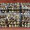 Hot sale 24 hole plastic pvc clear quail egg packing tray /quail egg cartons for sale