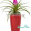 Outdoor Large Plant Containers Christams flower pot