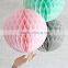 Party Decoration 10 Inch Paper Craft Honeycomb Ball wholesale