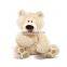 Genuine Child Plush Toy Doll Birthday Gift Teddy Bear Size couple pair