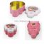 Lollipop shape irregular food storage/candy gift packaging tin box for sale