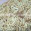 Factory OEM polyester fiber acrylic fiber painting pen nibs