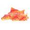 Simulation Plush Catnip Fish Toy for Cat Playing Training Tool Cats Pets Mint Fish Chew Toys Cat Rest Bite Pillow Scratch Board