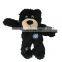 HOT HQPT-011 Manufacturer wholesale stuffed squeaky chew plush brown pet dog bear toys