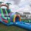Rainbow Tropical Waterslide Kids Children Inflatable Funnel Tunnel Water Slide With Pool