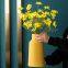 Nordic Style Morandi Fashion Large Yellow Green Blue Ceramic Flower Vase For Tv Bench