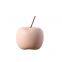 Nordic Modern Style Pink Blue Green Yellow Small Fruit Apple Decoration For Living Room