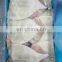 BQF frozen clean squid fillet skin on wing on