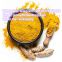 Natural yellow color pigment turmeric extract curcumin 95% cas 458-37-7