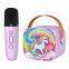 Small Wireless 5W Home Party Karaoke Players ABS Mini Speaker Microphone DC Power Bluetooth Communication KTV Car Usage Bass Box