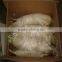 New crop fresh radish from Shandong