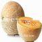 Red Jombo dense netted sweet hybrid cantaloupe seeds