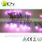 Addressable IP66 12MM Pixel Led String L ight