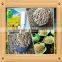 oil press machine Sunflower kernels confectionary and bakery