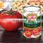2015 canned tomato paste exporter