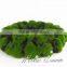 Hotsale China supplier decorative artificial moss circle for wall decoration
