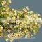 Reasonable price hot sale wholesale cheap cut foliage flower